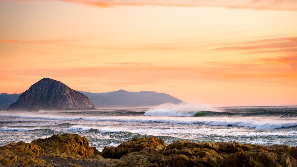 001227_BURKARD_20350